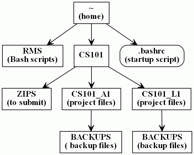 RIDES folder and file structure